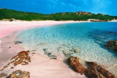 Venduta l'Isola di Budelli in Sardegna ad uno straniero